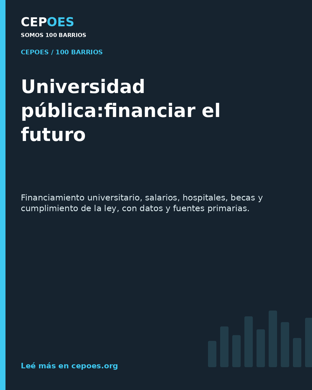 Universidad pública:financiar el futuro